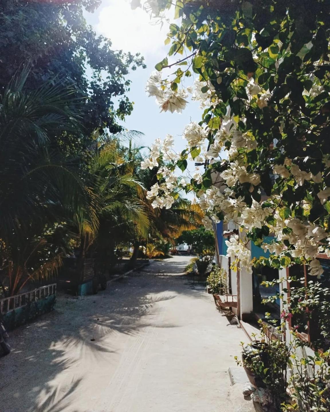 Kudhi Boli Beach House スルスドゥー エクステリア 写真