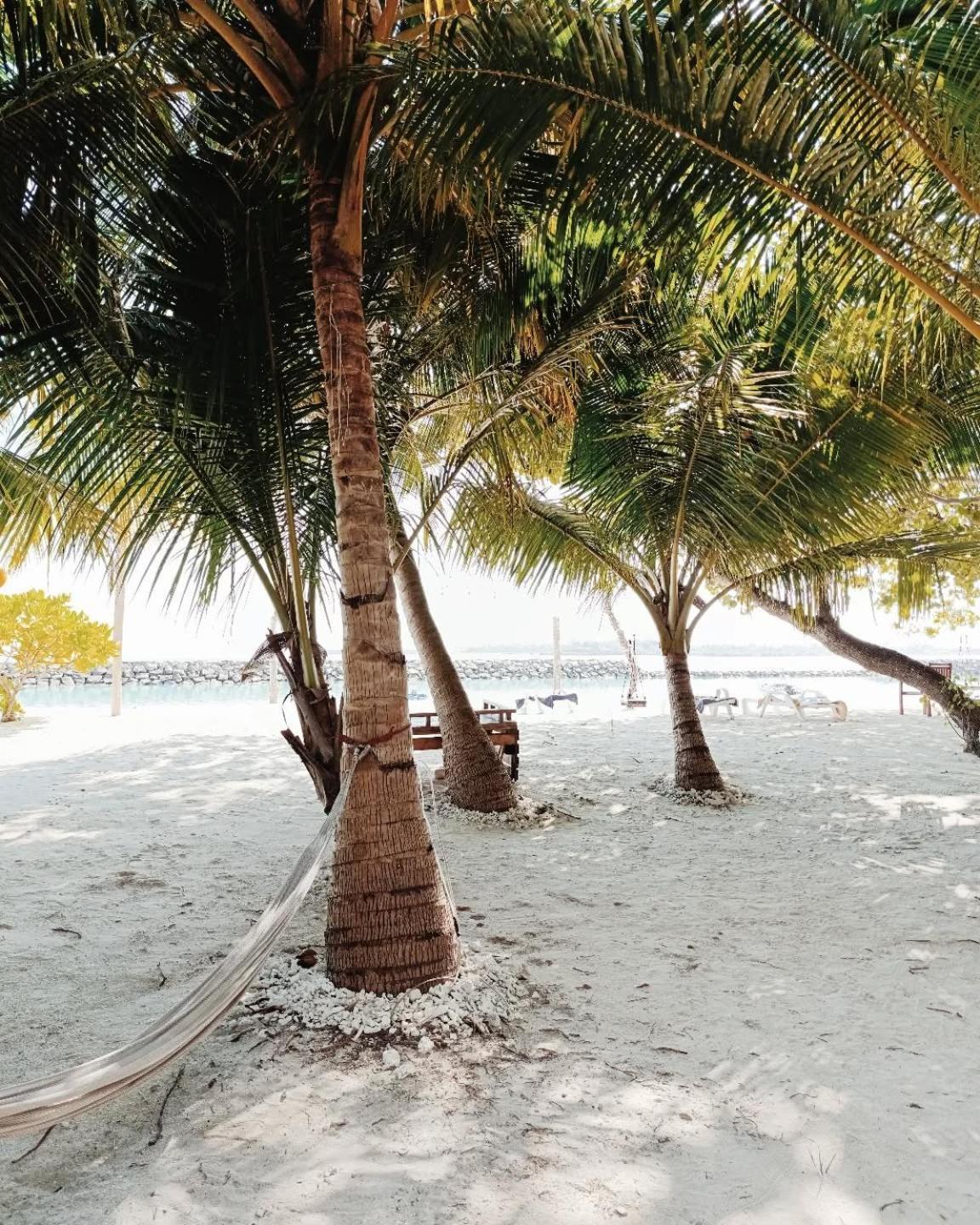 Kudhi Boli Beach House スルスドゥー エクステリア 写真
