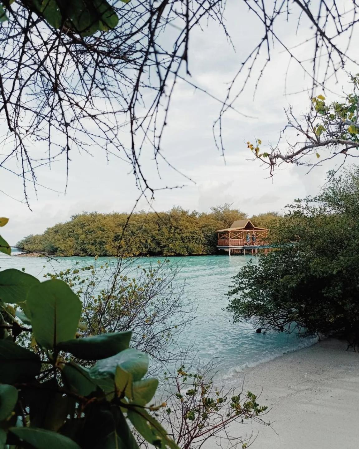 Kudhi Boli Beach House スルスドゥー エクステリア 写真