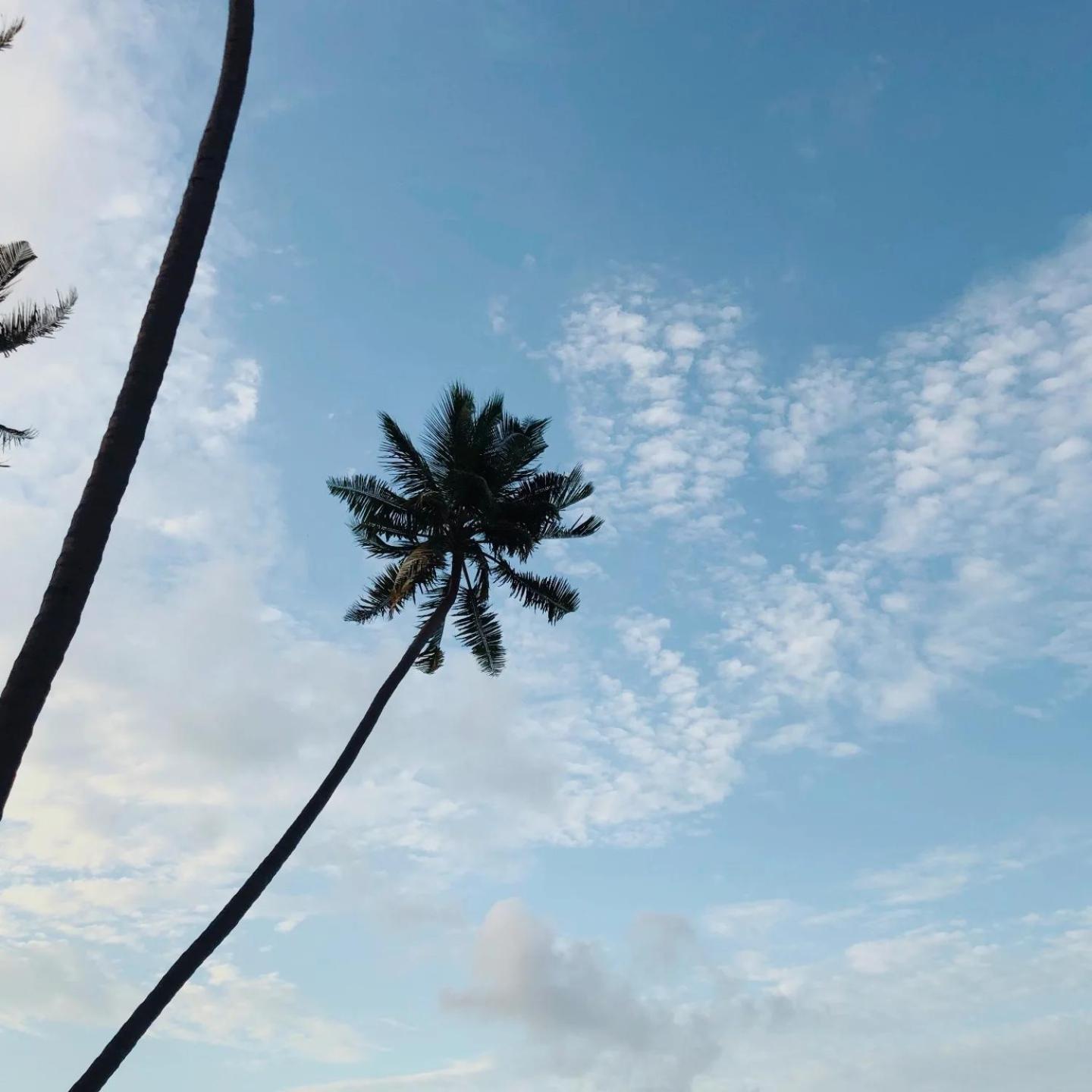 Kudhi Boli Beach House スルスドゥー エクステリア 写真